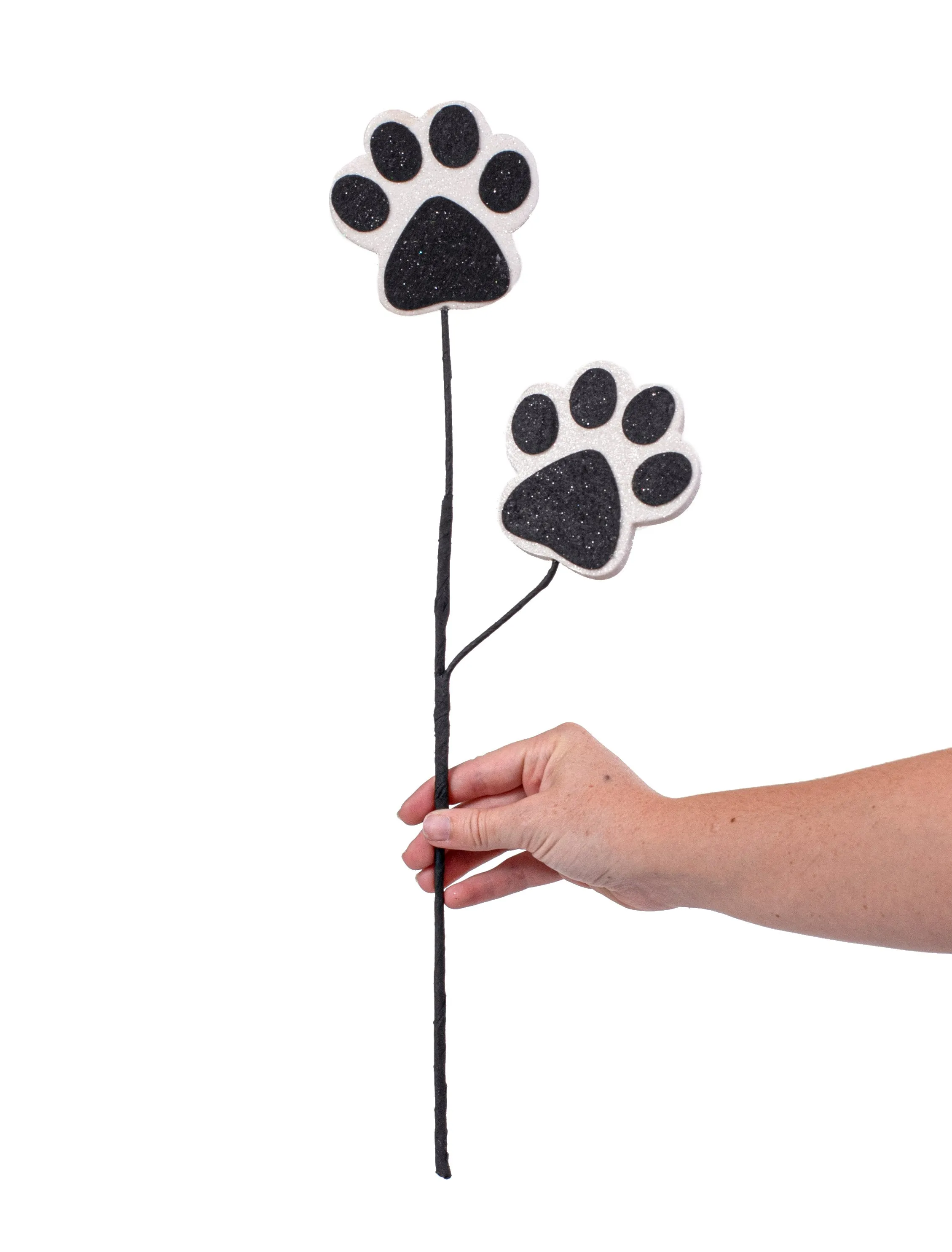 18" Dog Paw Spray: Black