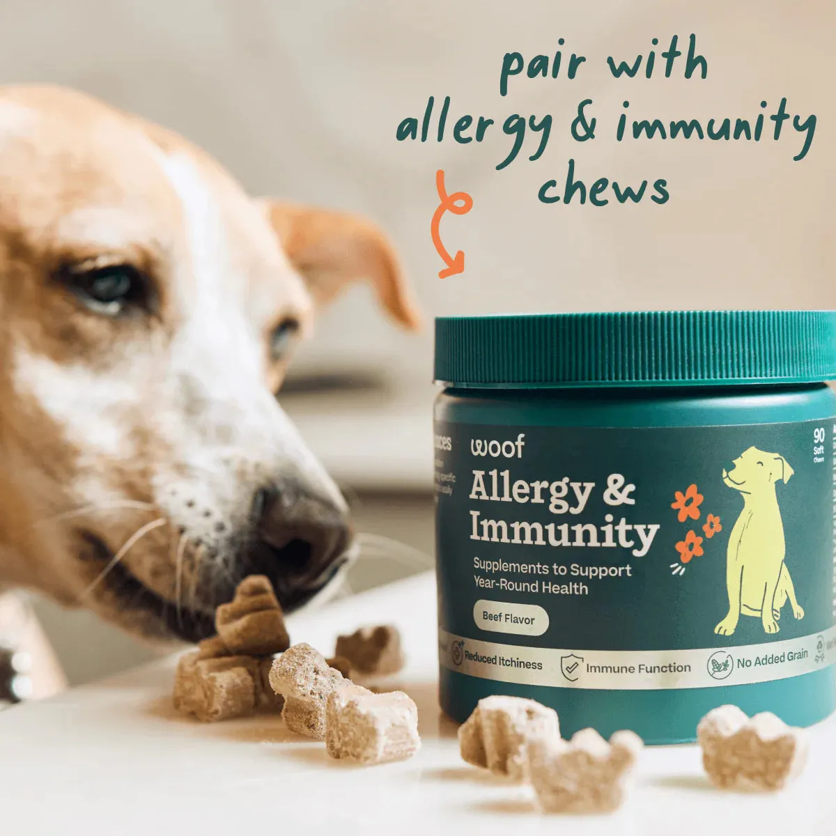 Allergy & Immunity Pops - X-Large