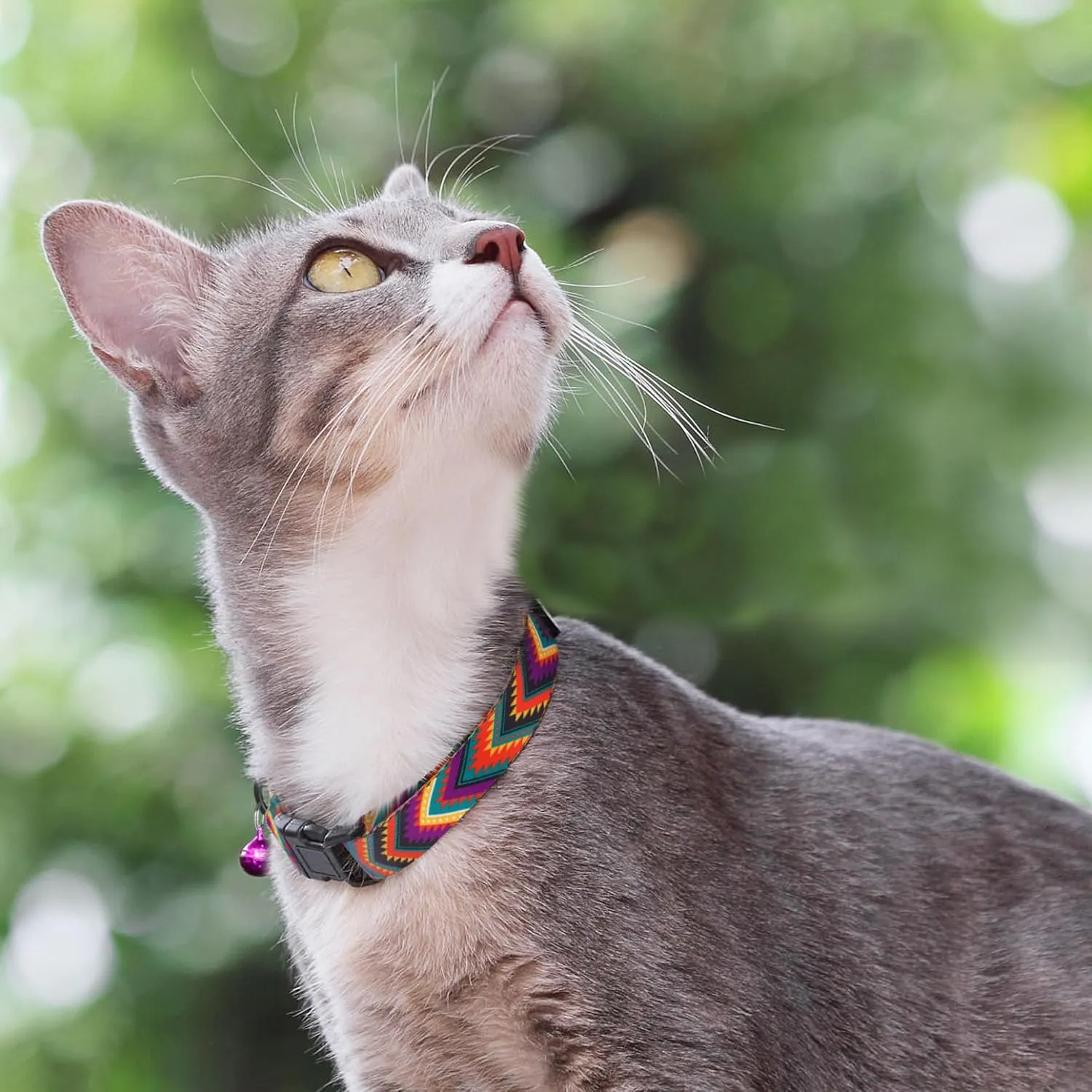 Cat Collars 2 Pack - Soft Cute Breakaway Collar with Bell, Adjustable Safety Kitten Collars for Girl & Boy Cats  Comfortable Stylish Patterned Print Lightweight (Floral   Arrows)