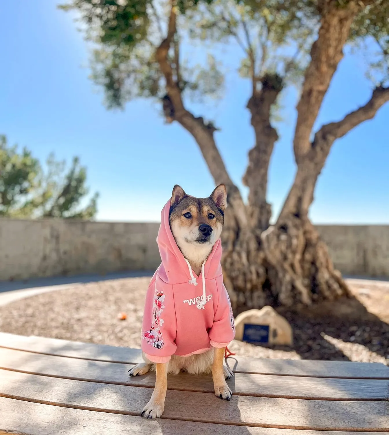 ChoChoCho Woof Dog Hoodie, Designer Dog Hoodies for Small Medium Large Breeds, Art Collection Dog Sweatshirts, Street Drawstring Hoodies Outfit Clothes for Puppy Puppies (S, Sakura/Pink)