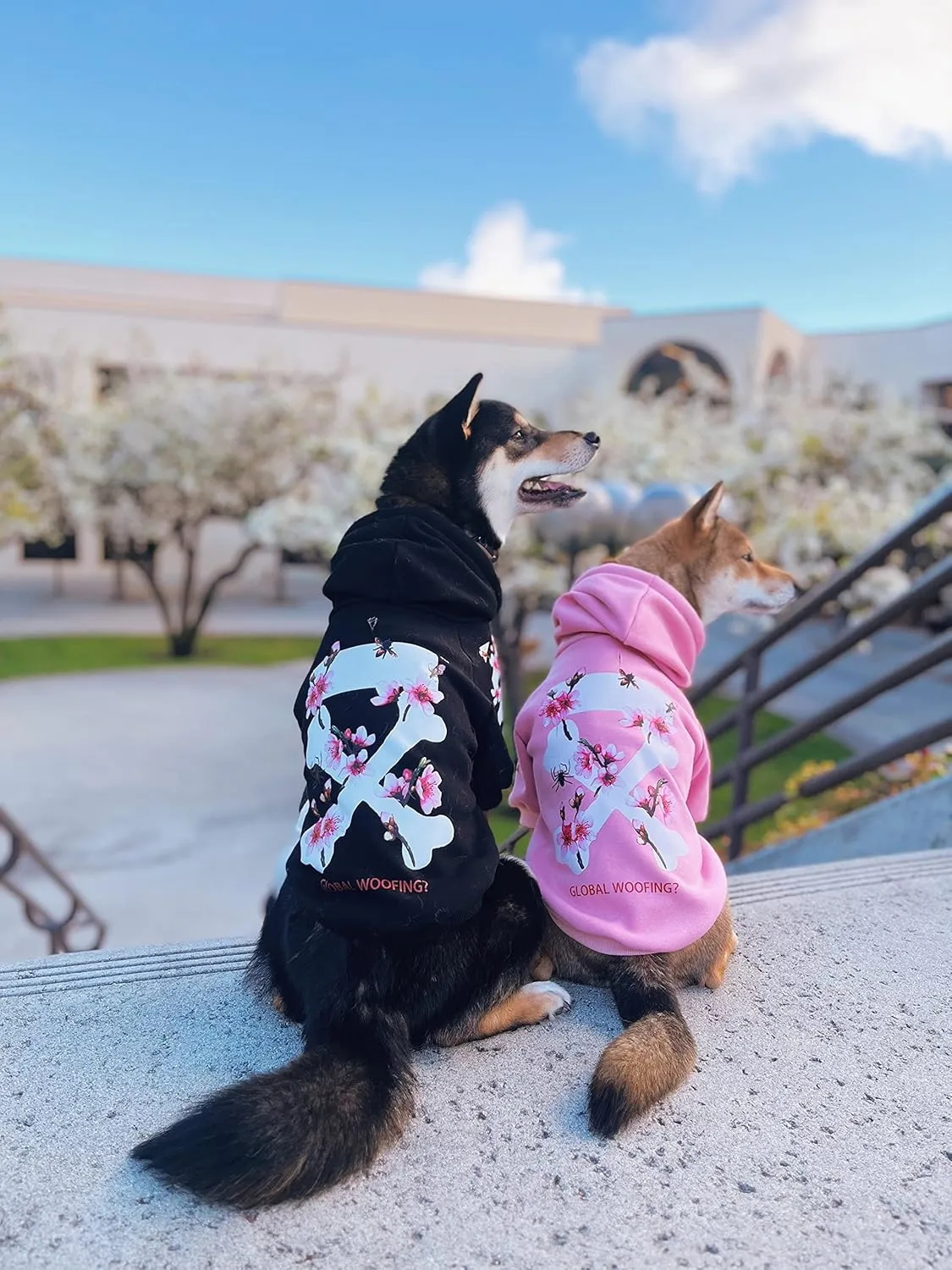 ChoChoCho Woof Dog Hoodie, Designer Dog Hoodies for Small Medium Large Breeds, Art Collection Dog Sweatshirts, Street Drawstring Hoodies Outfit Clothes for Puppy Puppies (S, Sakura/Pink)