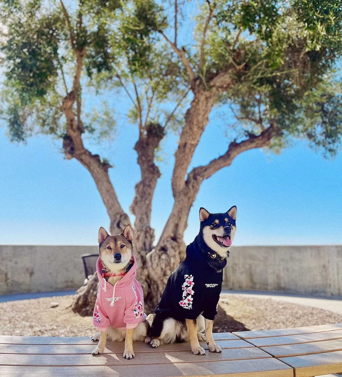 ChoChoCho Woof Dog Hoodie, Designer Dog Hoodies for Small Medium Large Breeds, Art Collection Dog Sweatshirts, Street Drawstring Hoodies Outfit Clothes for Puppy Puppies (S, Sakura/Pink)