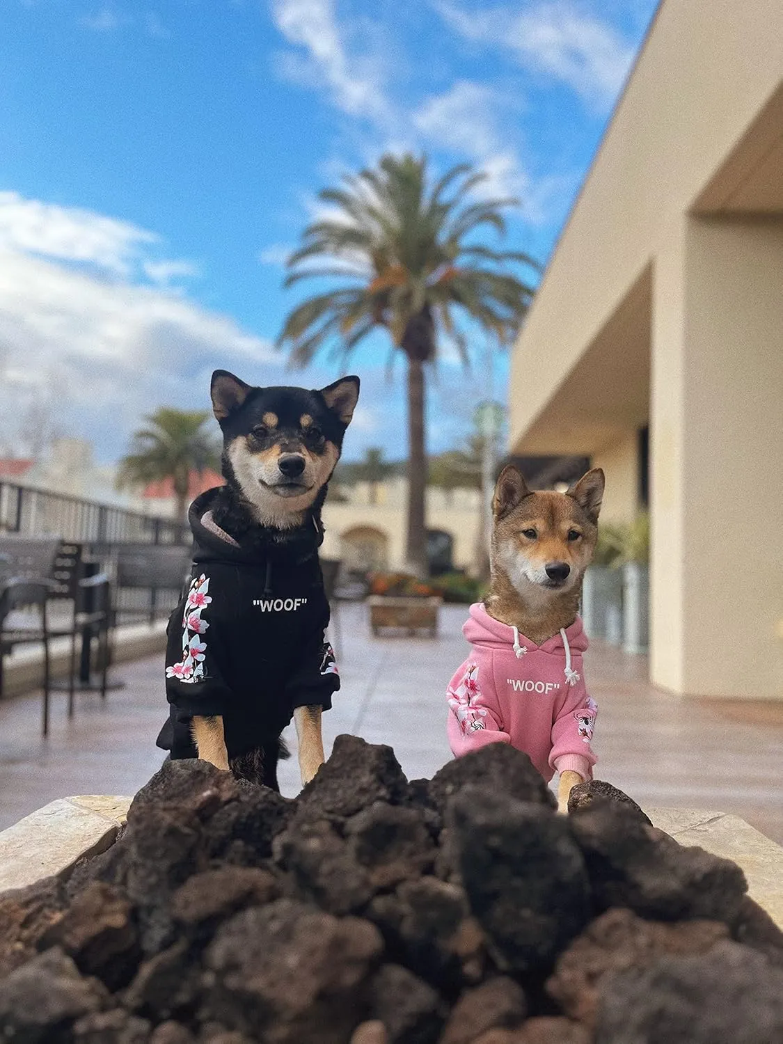 ChoChoCho Woof Dog Hoodie, Designer Dog Hoodies for Small Medium Large Breeds, Art Collection Dog Sweatshirts, Street Drawstring Hoodies Outfit Clothes for Puppy Puppies (S, Sakura/Pink)