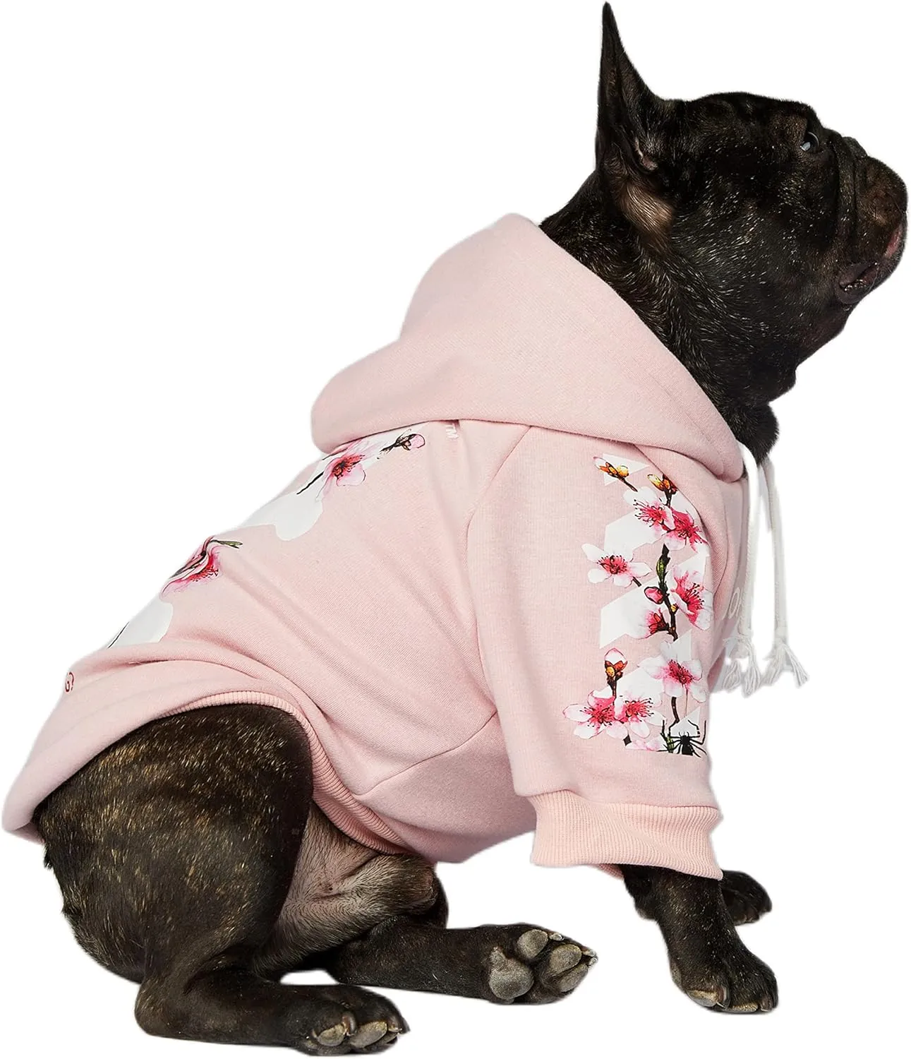 ChoChoCho Woof Dog Hoodie, Designer Dog Hoodies for Small Medium Large Breeds, Art Collection Dog Sweatshirts, Street Drawstring Hoodies Outfit Clothes for Puppy Puppies (S, Sakura/Pink)