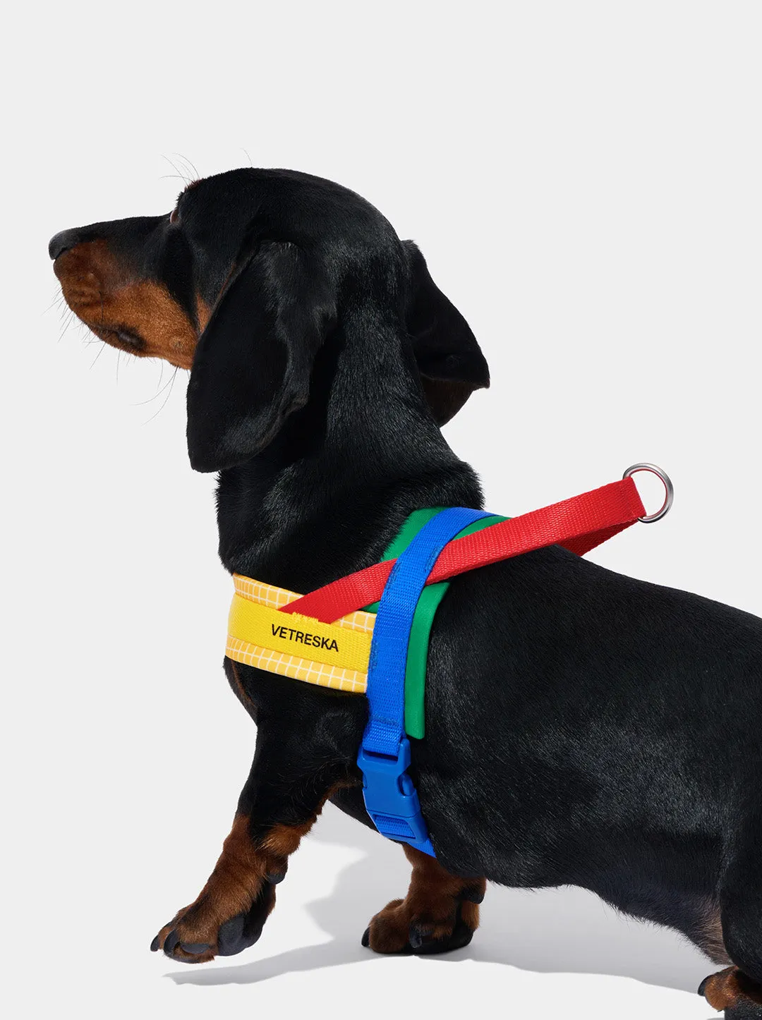 Chroma Pet Walk Kit (Harness, Leash & Poop Bag Dispenser)-Yellow