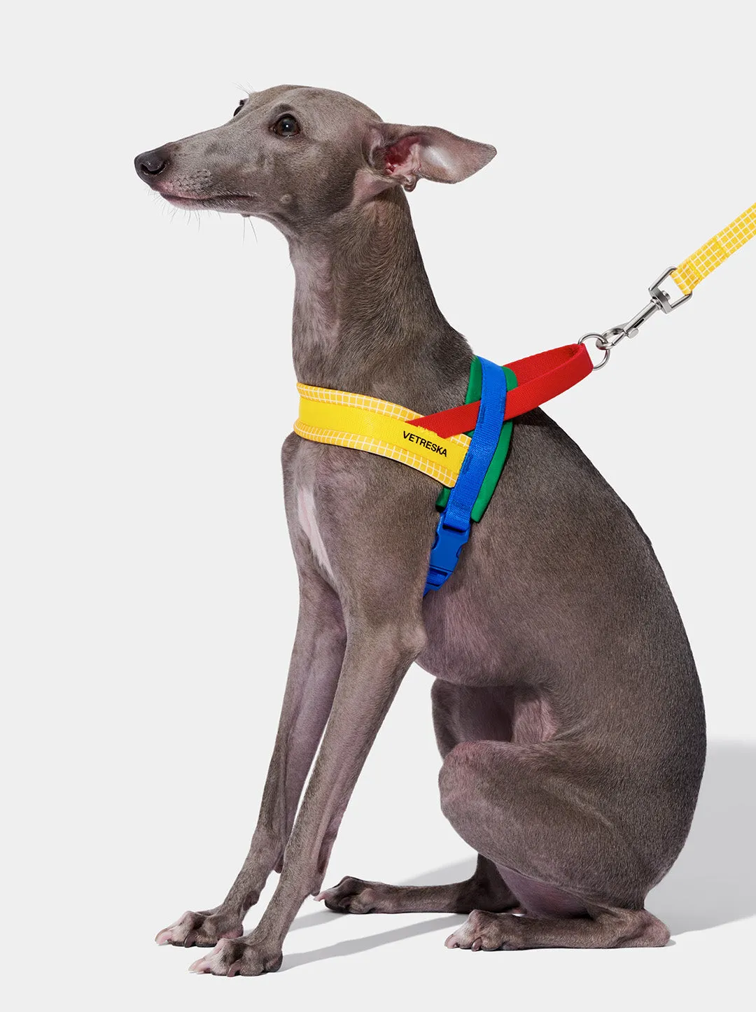 Chroma Pet Walk Kit (Harness, Leash & Poop Bag Dispenser)-Yellow