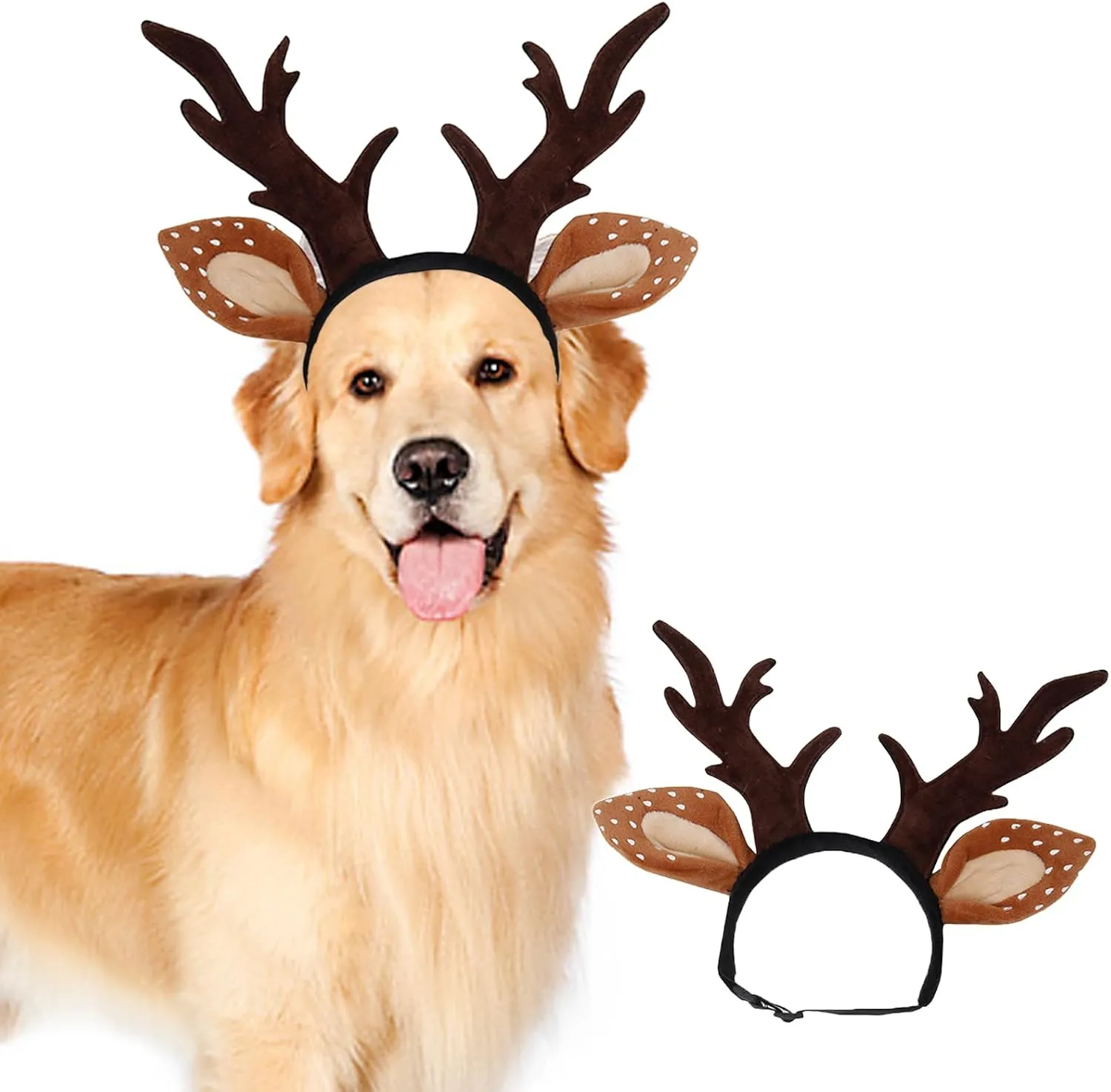 Dog ,,  ()