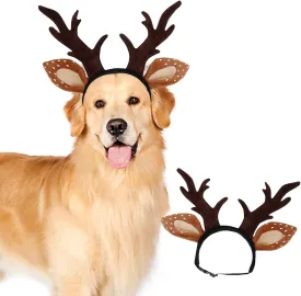 Dog ,,  ()
