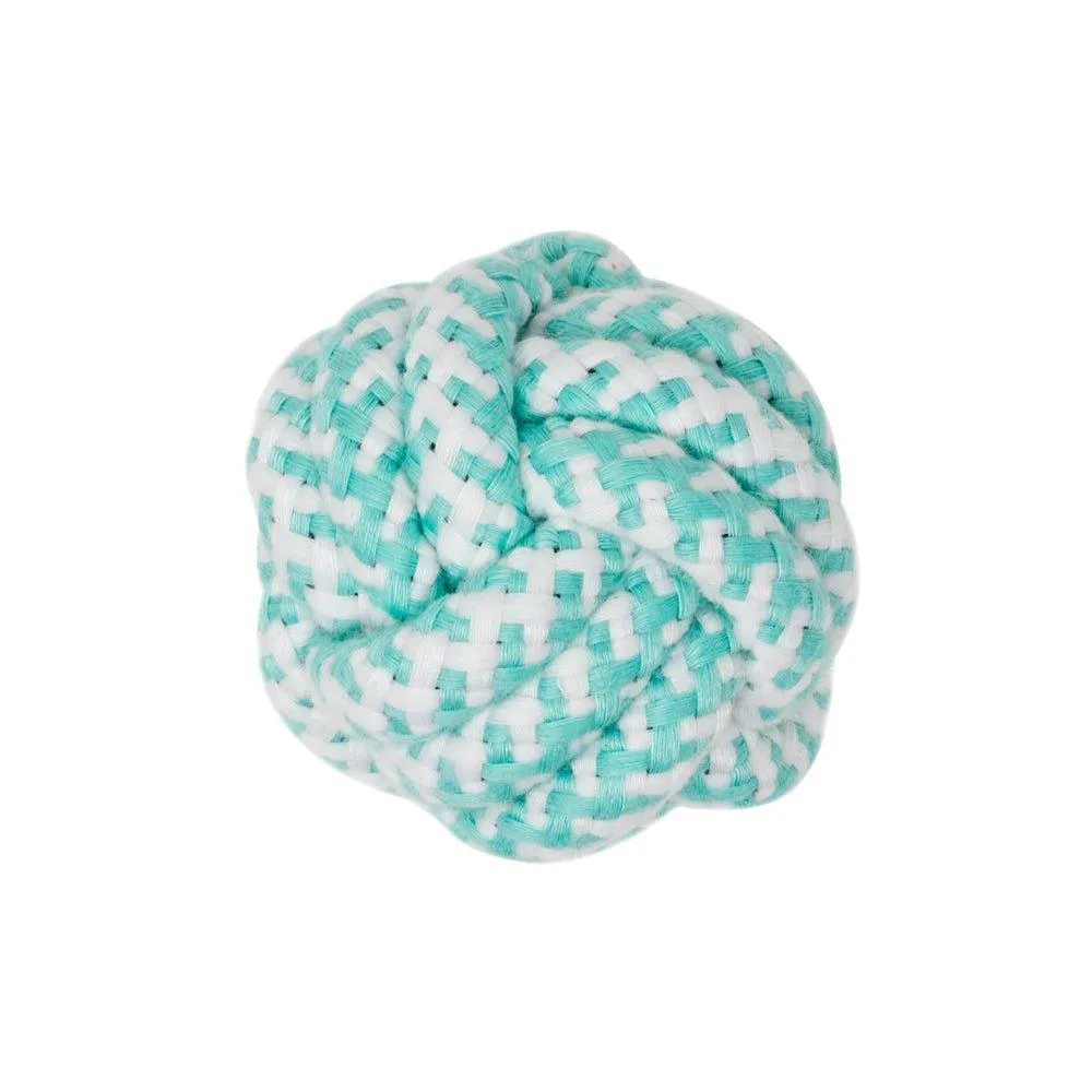 Dog Puppy Gift Set - Aqua Blue