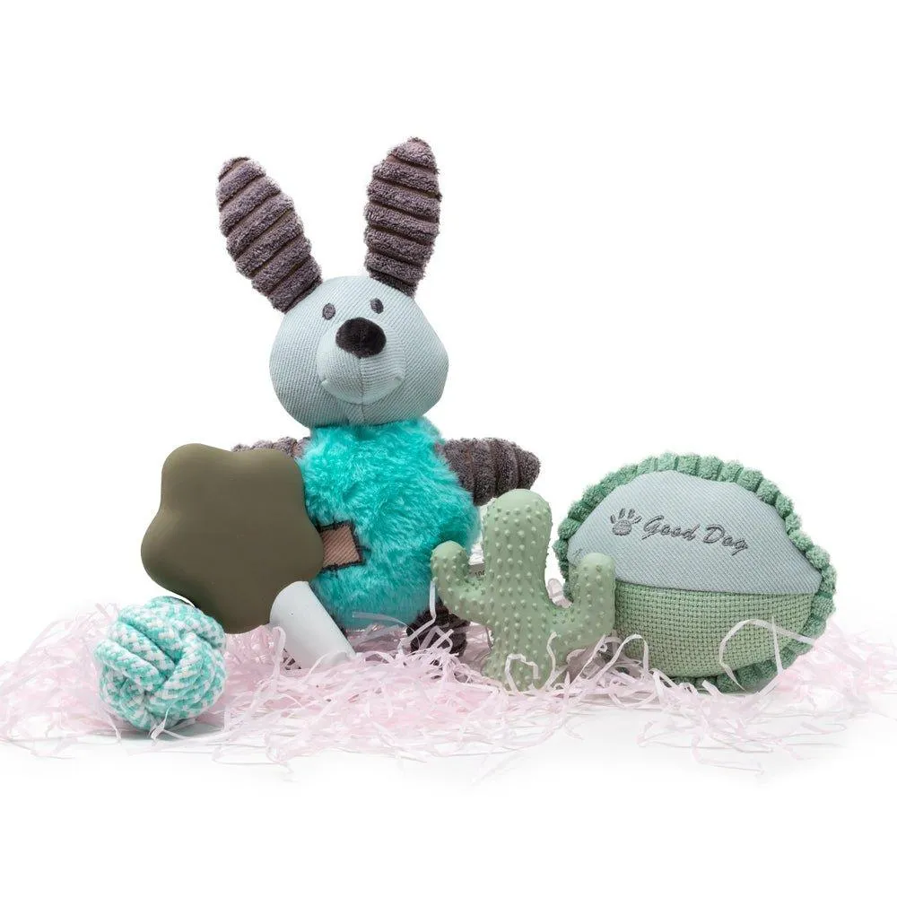 Dog Puppy Gift Set - Aqua Blue