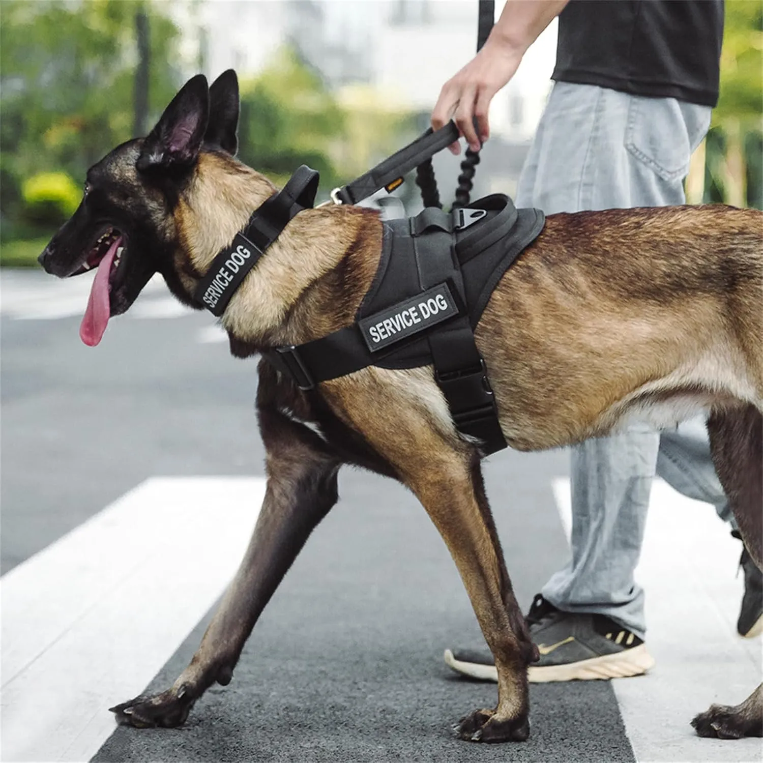 EXCELLENT ELITE SPANKER Tactical Dog Vest Training Military Patrol Service Dog Harness Easy Control Adjustable No-Pull Nylon Pet Harness with Handle for Small Medium Large Dogs(RGN-L)