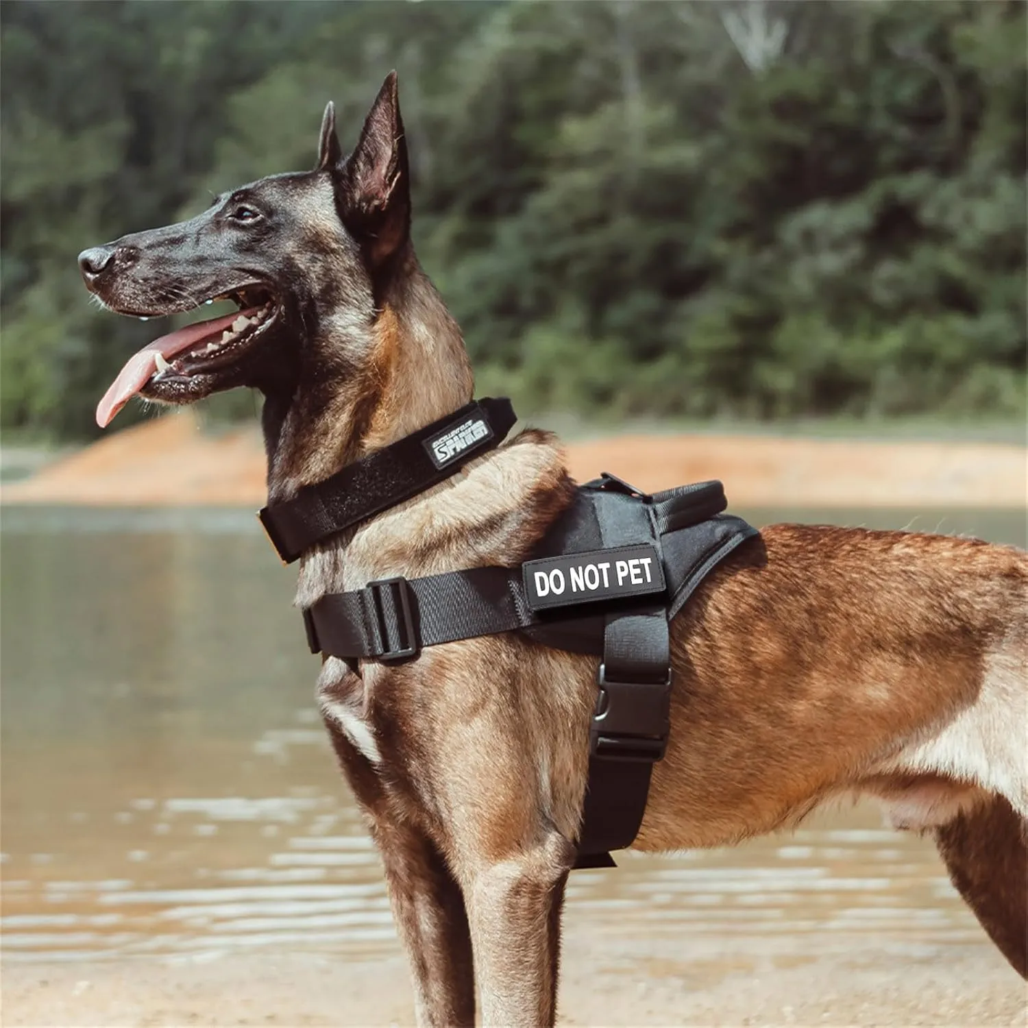 EXCELLENT ELITE SPANKER Tactical Dog Vest Training Military Patrol Service Dog Harness Easy Control Adjustable No-Pull Nylon Pet Harness with Handle for Small Medium Large Dogs(RGN-L)