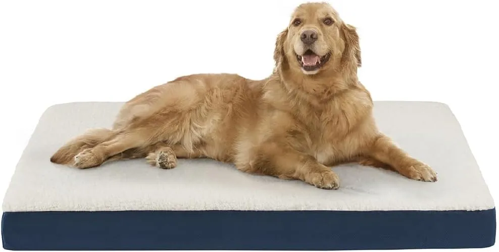 Friends Forever Orthopedic Dog Bed, Cooling Dog Beds with Removable Washable Cover, Reversible Pet Bed Mat with Memory Foam, Washable Removable Cover, Kato Navy, 44x32x3.5