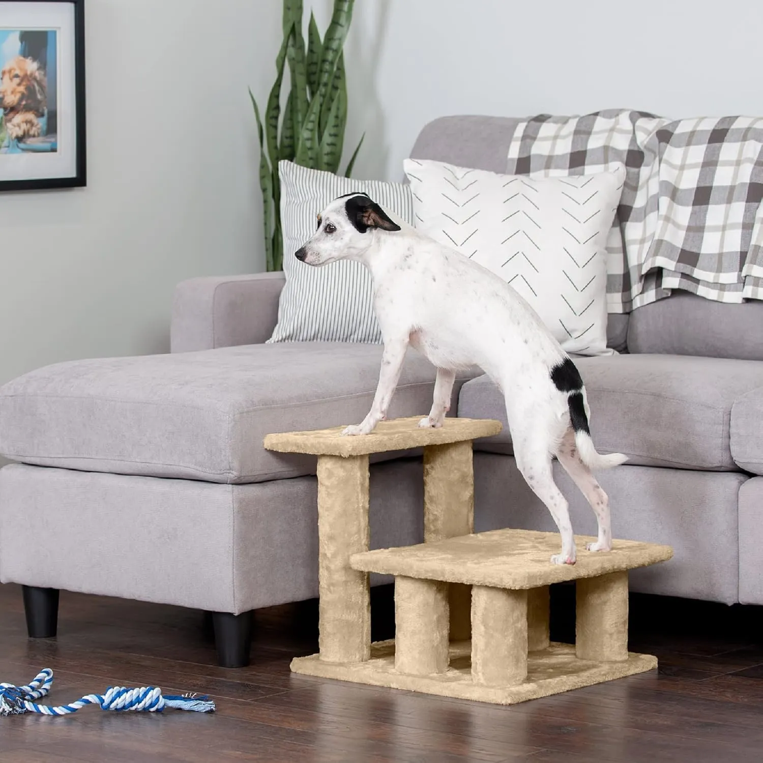 Furhaven Steady Paws Multi-Step Pet Stairs for High Beds & Sofas - Cream, 3-Step