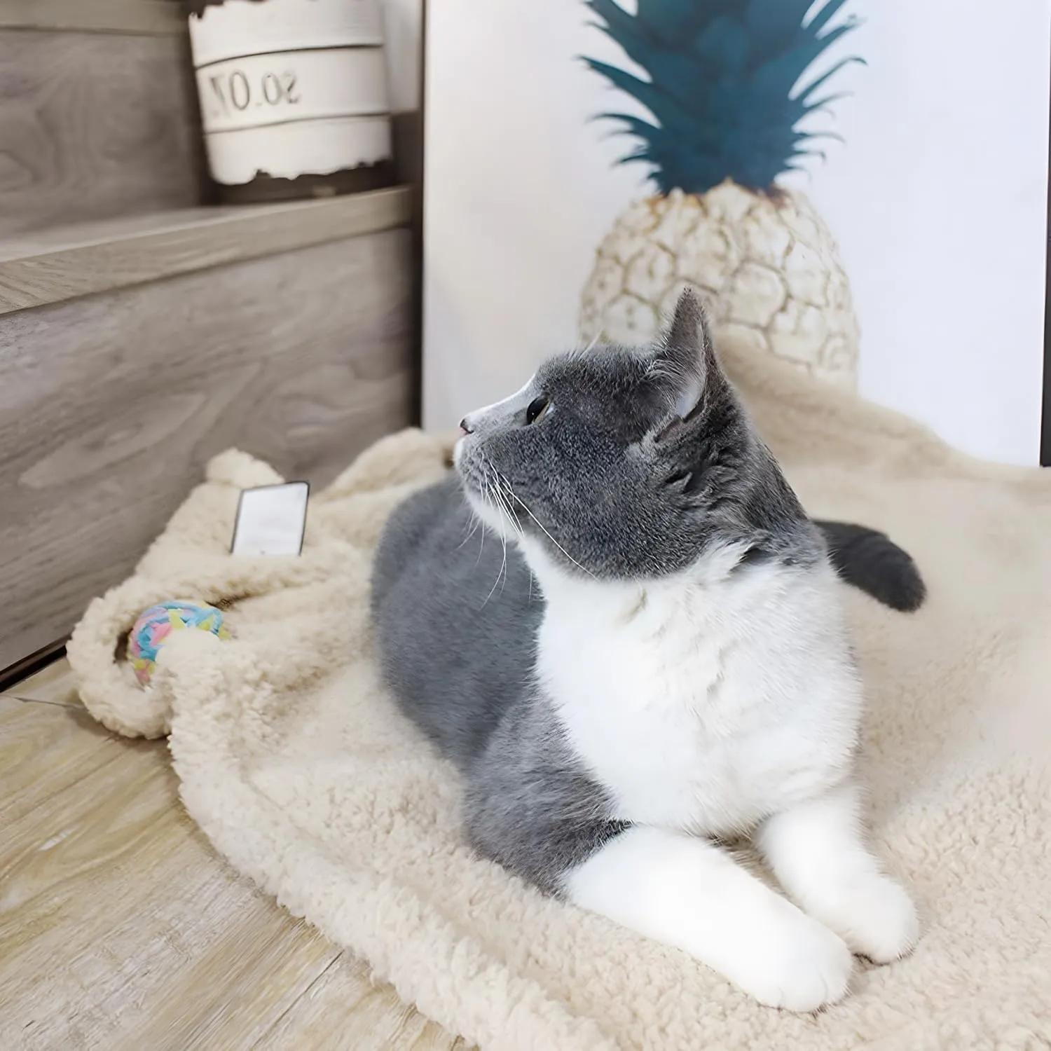 furrybaby 1 Pack 2 Dog Blanket for Small Dogs Premium Fluffy Puppy Blanket Super Soft Sherpa Pet Calming Blankets for Cat Bed Couch and Indoor Washable Fleece Dog Blankets(24"x32", Grey&Beige)