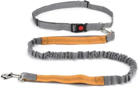 Hands Free Dog Leash, Retractable Dual Handle Bungee Leash, Adjustable Waist Dog Running Belt for Running, Walking, Training, Hiking, TravelingGray/Orange (YUNDA9214)