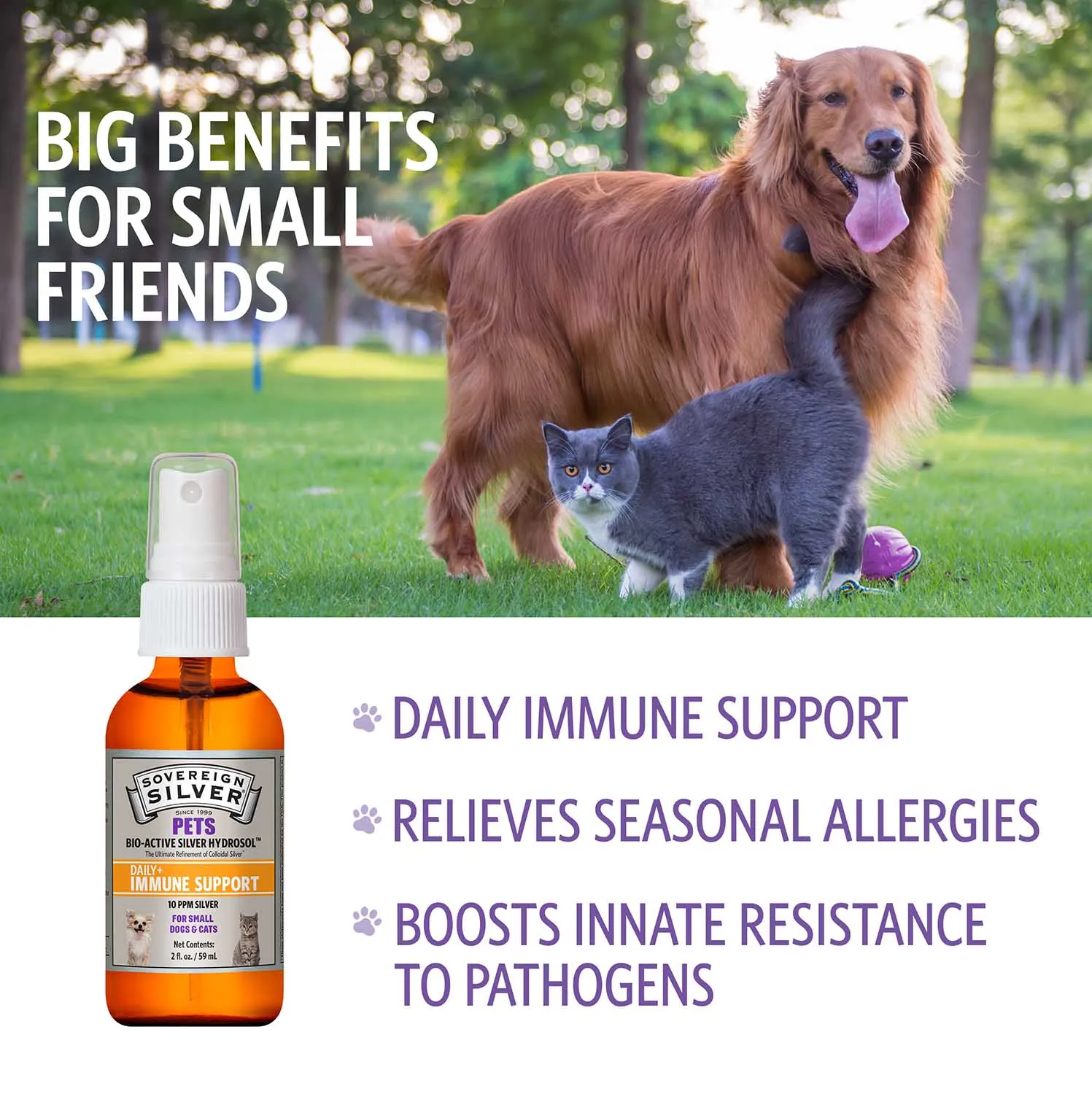 Immune Support