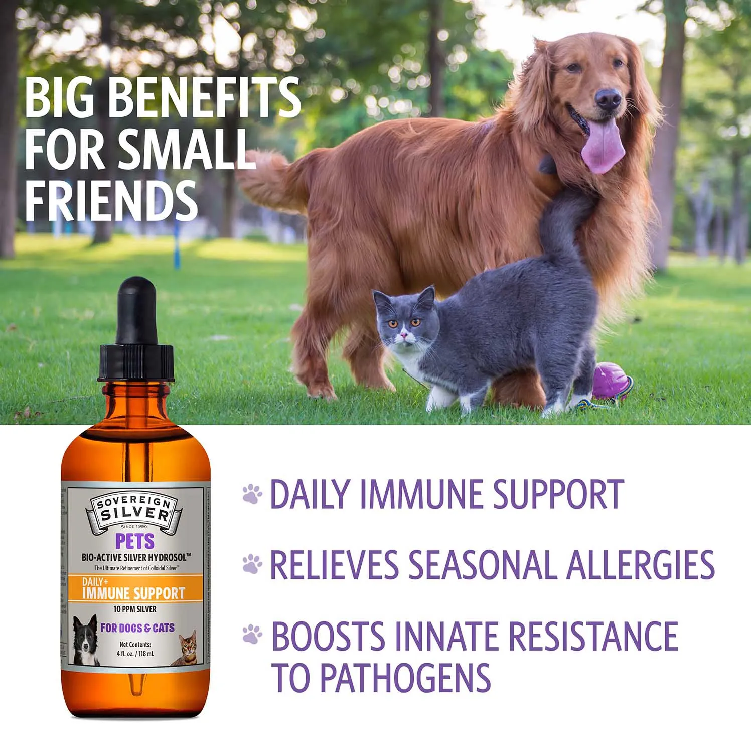 Immune Support