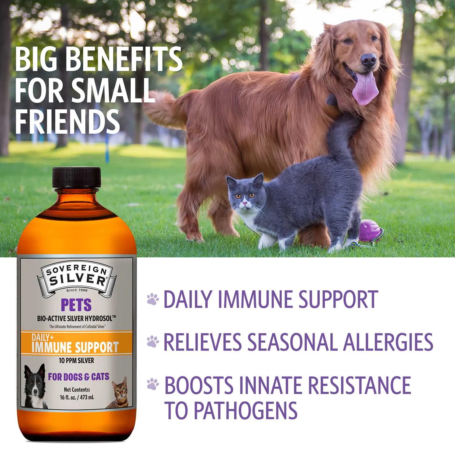 Immune Support