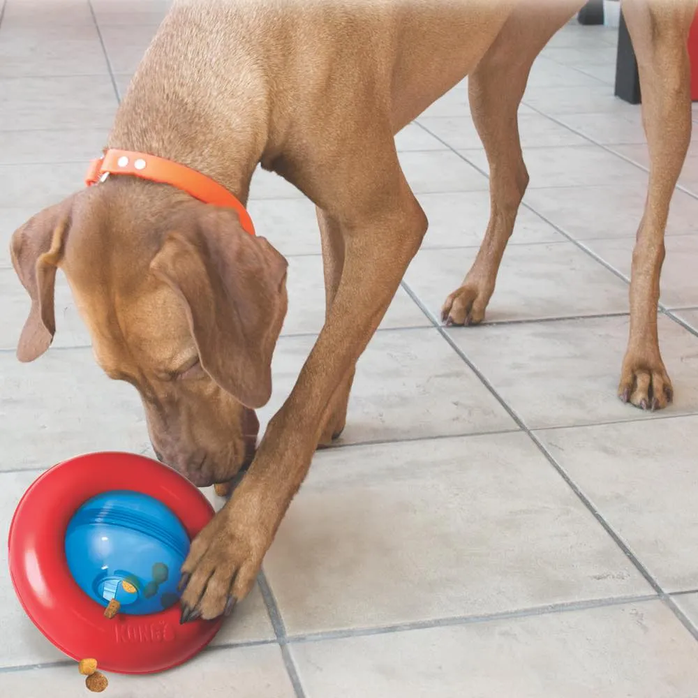 Kong Gyro Interactive Dog Toy