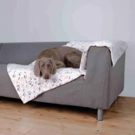 Lingo Blanket