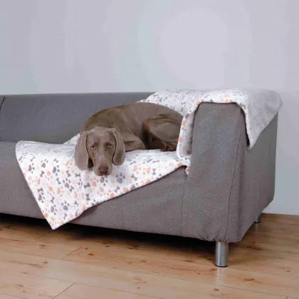 Lingo Blanket