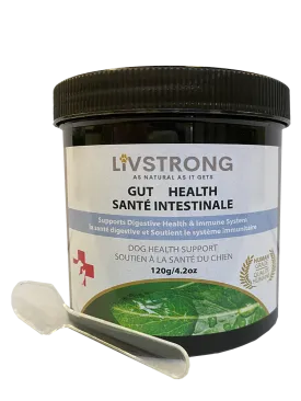 Livstrong Gut Health 120g