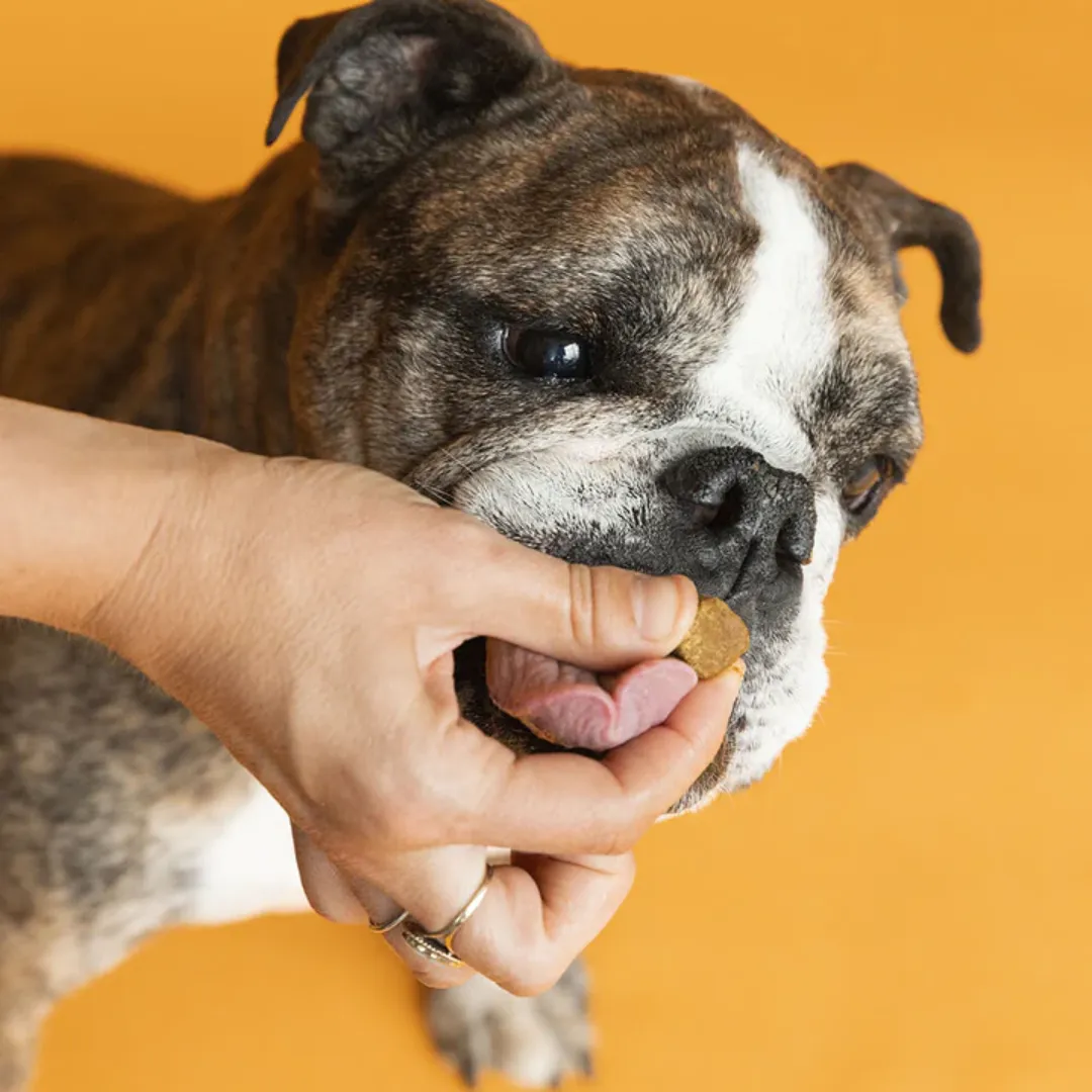 Natural Dog Company Urinary & Bladder