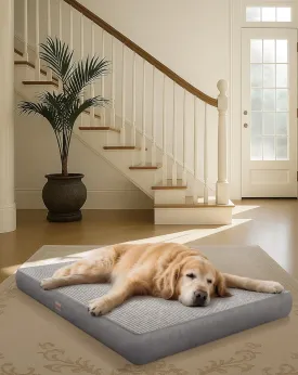 OhGeni Orthopedic Waterproof & Machine Washable Dog Bed for Large Pets, Suitable for Crates, 25D Egg Crate Foam, Non-Slip Bottom & Removable Cover, Invisible Zipper, 41 Inches(Gray)