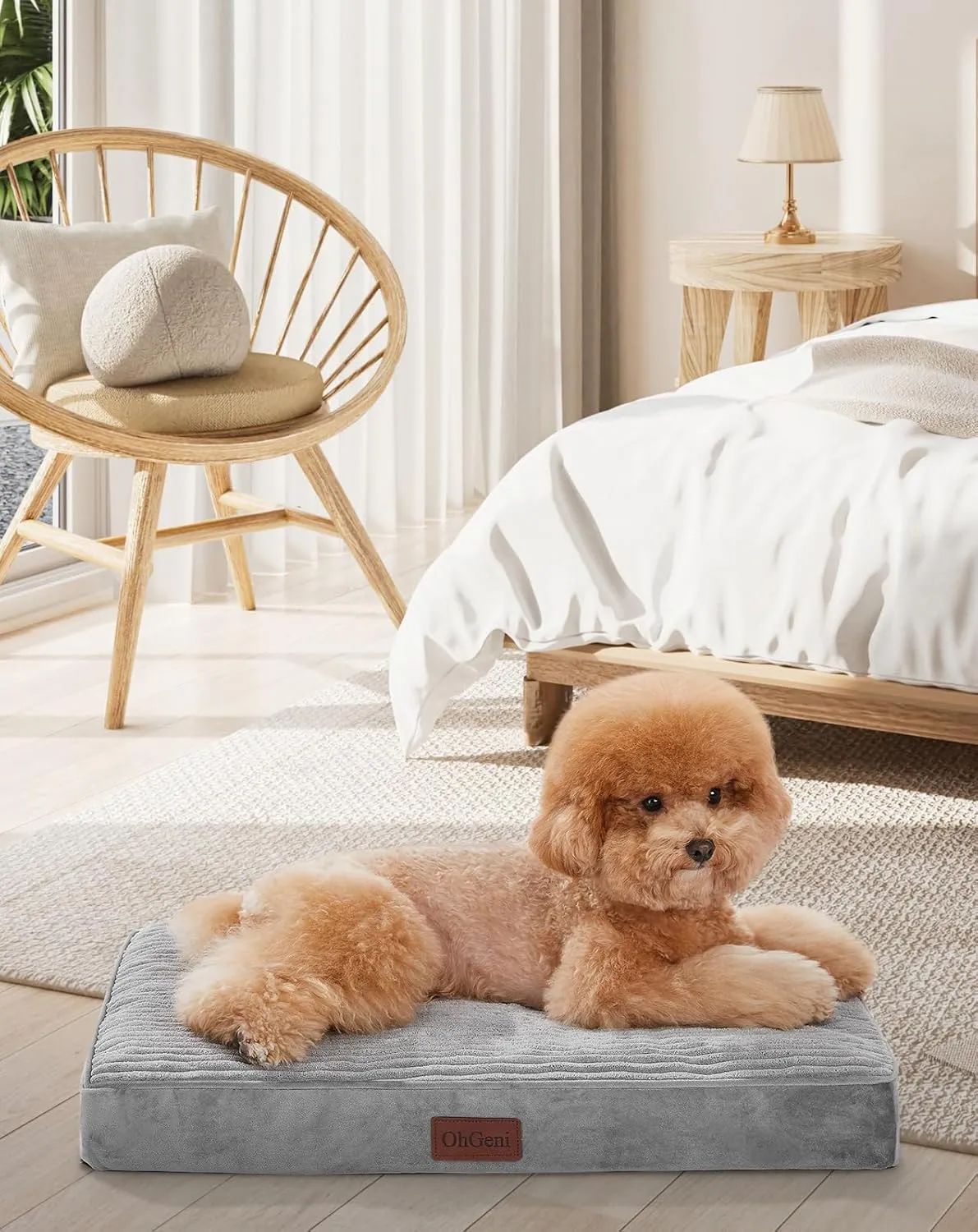 OhGeni Orthopedic Waterproof & Machine Washable Dog Bed for Small Pets, Suitable for Crates, 25D Egg Crate Foam, Non-Slip Bottom & Removable Cover, Invisible Zipper, 24 Inches(Gray)