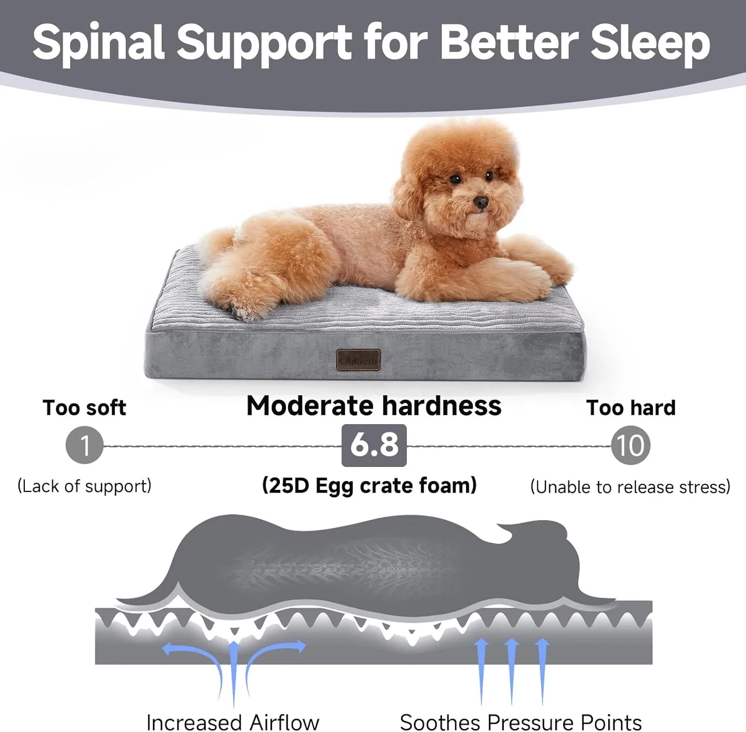OhGeni Orthopedic Waterproof & Machine Washable Dog Bed for Small Pets, Suitable for Crates, 25D Egg Crate Foam, Non-Slip Bottom & Removable Cover, Invisible Zipper, 24 Inches(Gray)