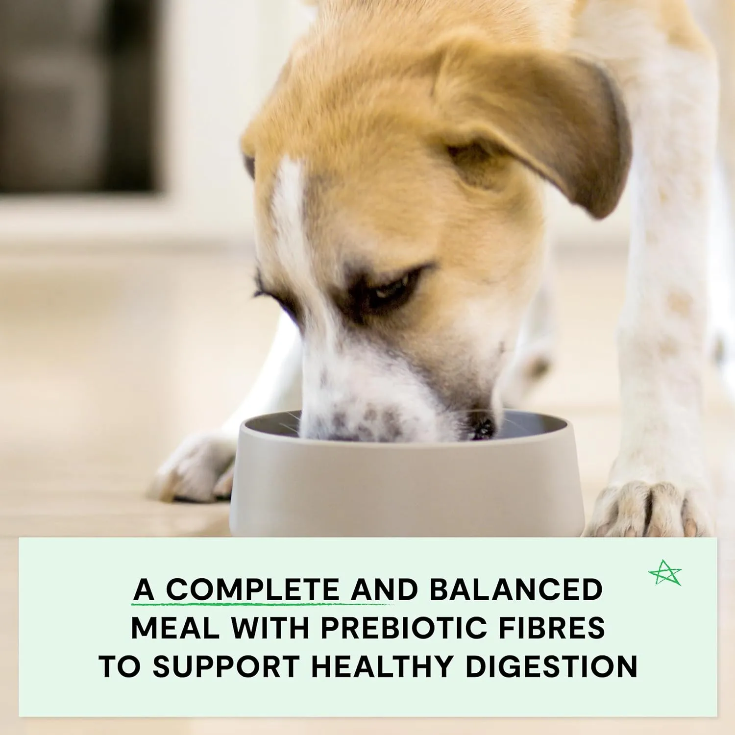 Open Farm, Grain-Free Dry Dog Food for Puppies, Protein-Packed Kibble, Sustainably & Ethically Sourced Ingredients, Non-GMO Veggies & Superfoods, Chicken & Salmon Puppy Recipe, 4lb Bag