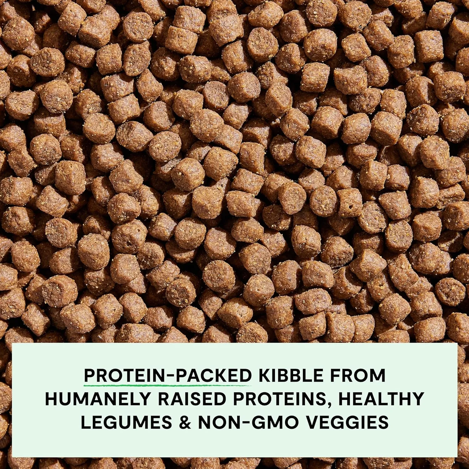 Open Farm, Grain-Free Dry Dog Food for Puppies, Protein-Packed Kibble, Sustainably & Ethically Sourced Ingredients, Non-GMO Veggies & Superfoods, Chicken & Salmon Puppy Recipe, 4lb Bag