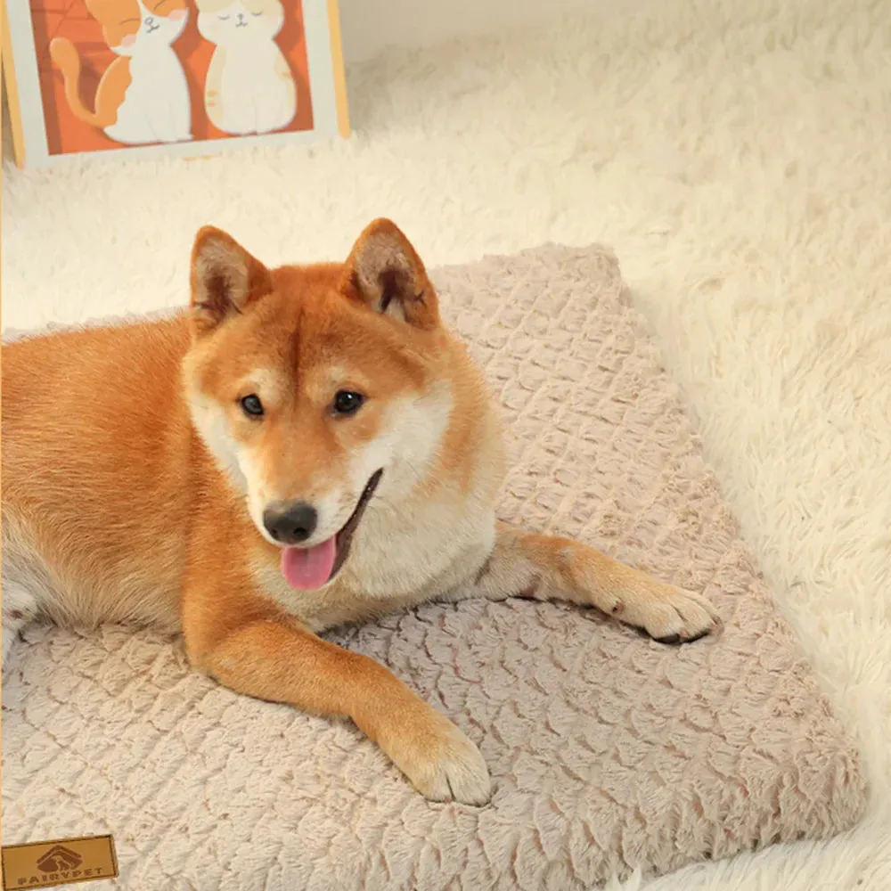 Orthopedic Memory Foam Dog Bed with Washable Faux Fur Cover