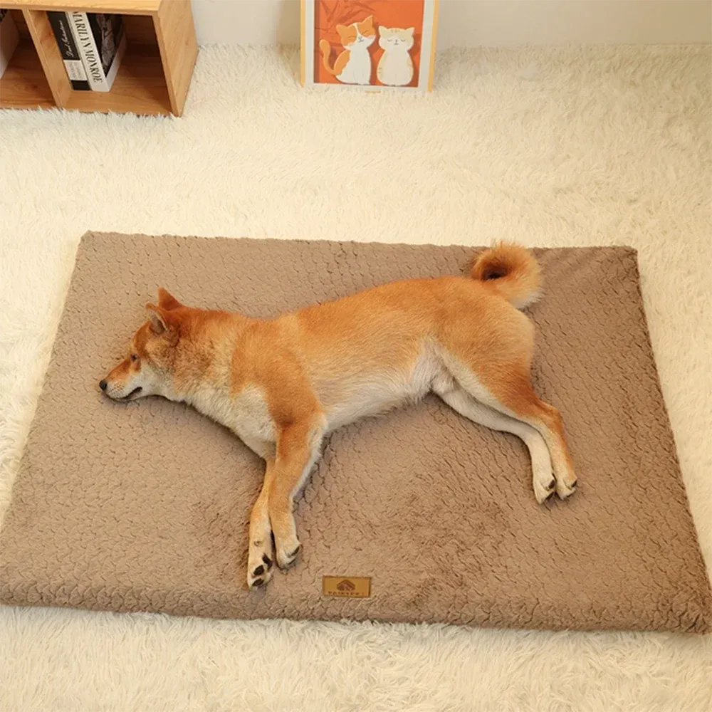 Orthopedic Memory Foam Dog Bed with Washable Faux Fur Cover