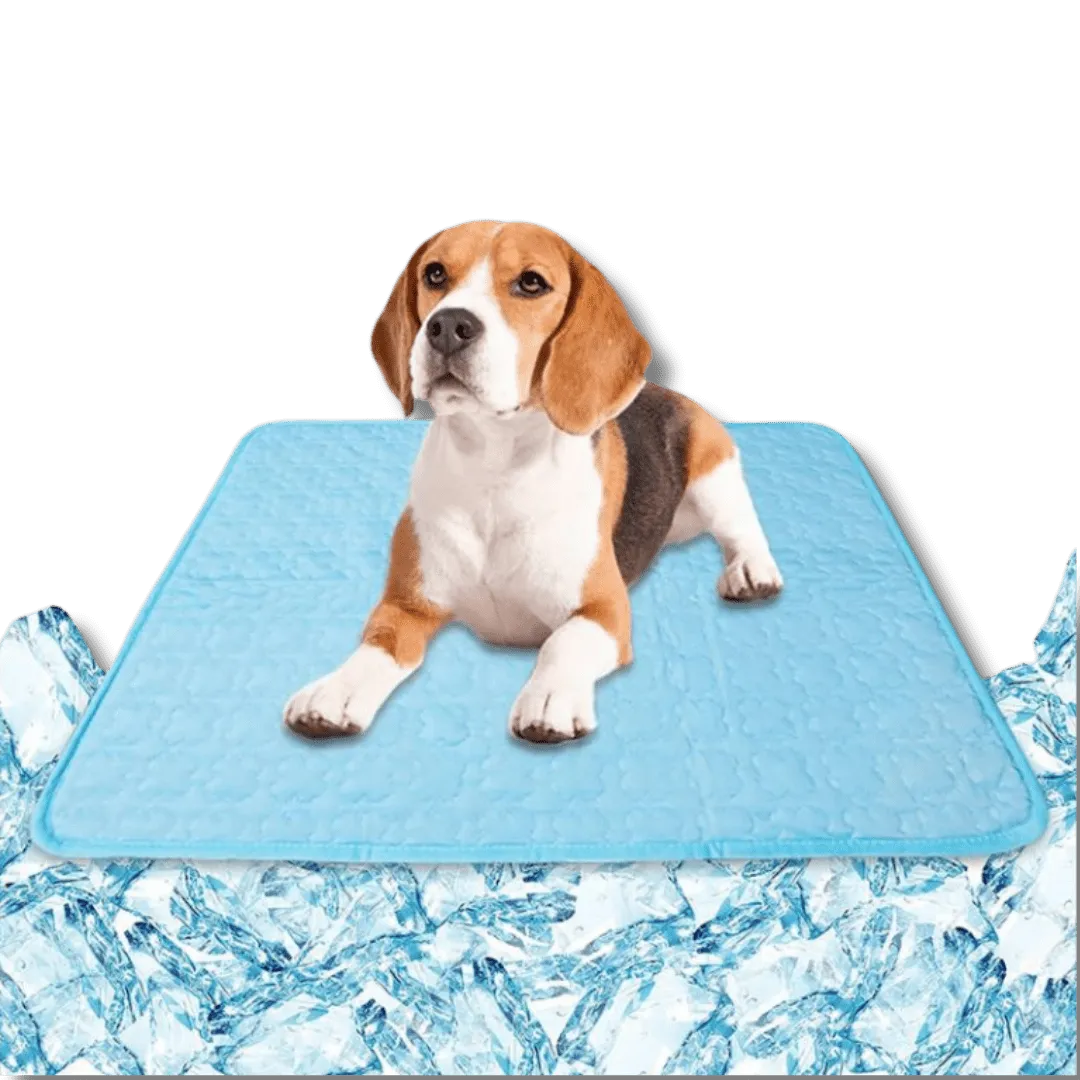 Pet Cooling Mat