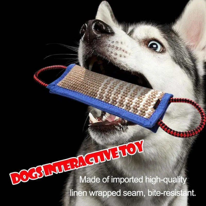 Pet Dog Training Chew Toy