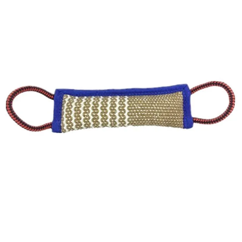 Pet Dog Training Chew Toy