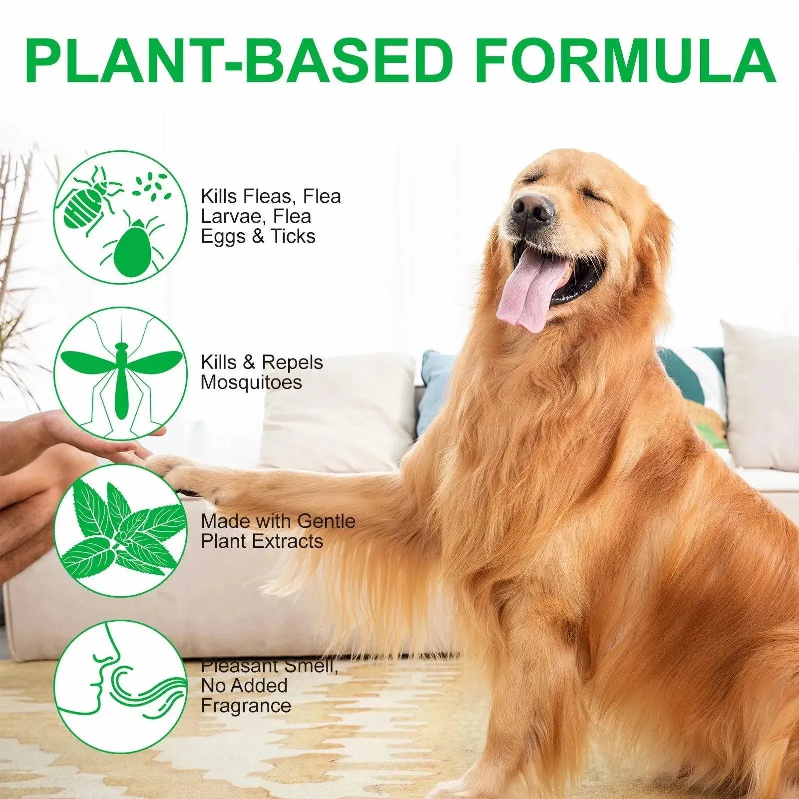 PET Flea & Tick Spray Dogs Cats 100ml