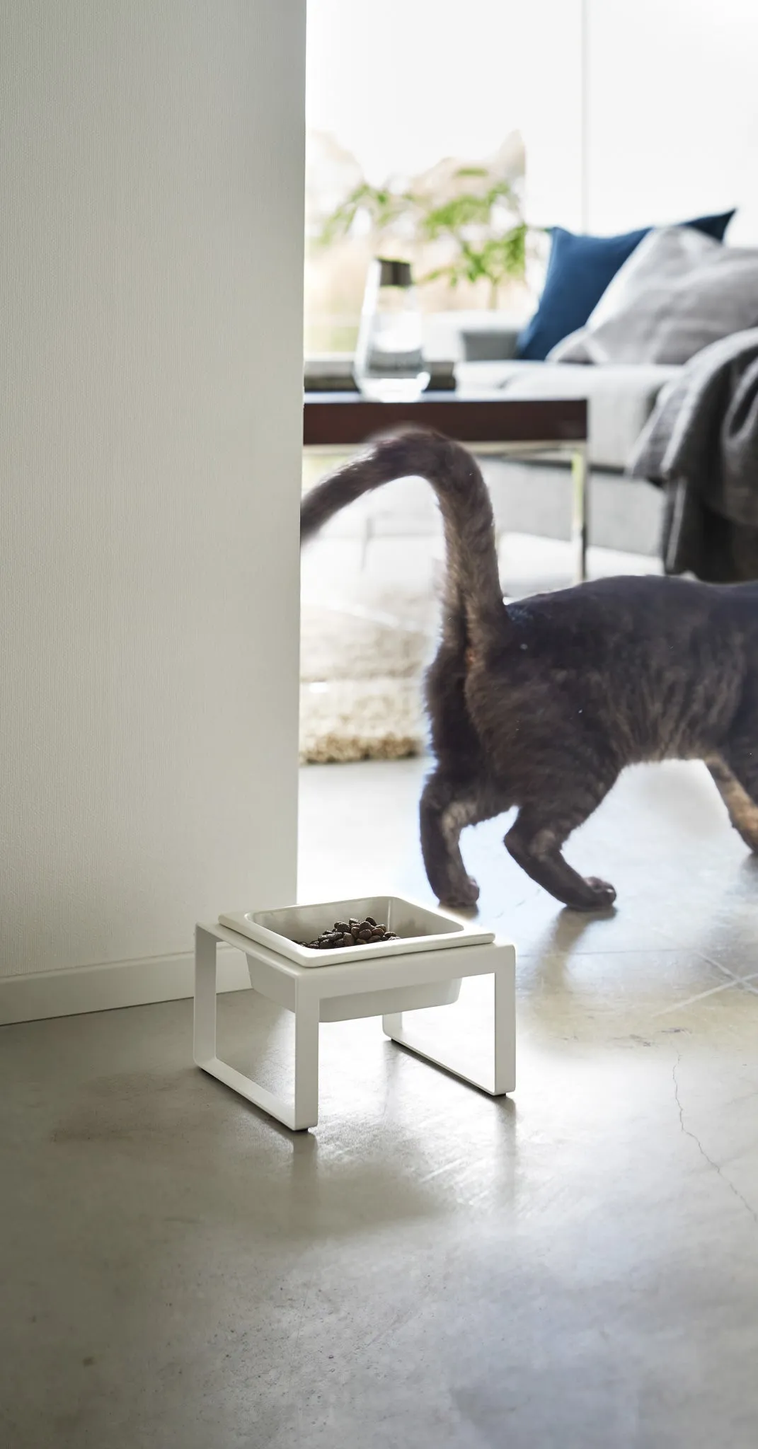 Pet Food Bowl Stand