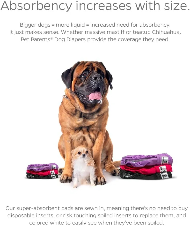 Pet Parents Washable Dog Diapers (3pack)   Extendrs of Durable Doggie Diapers, Premium Dog Diapers Female (Medium, Princess)