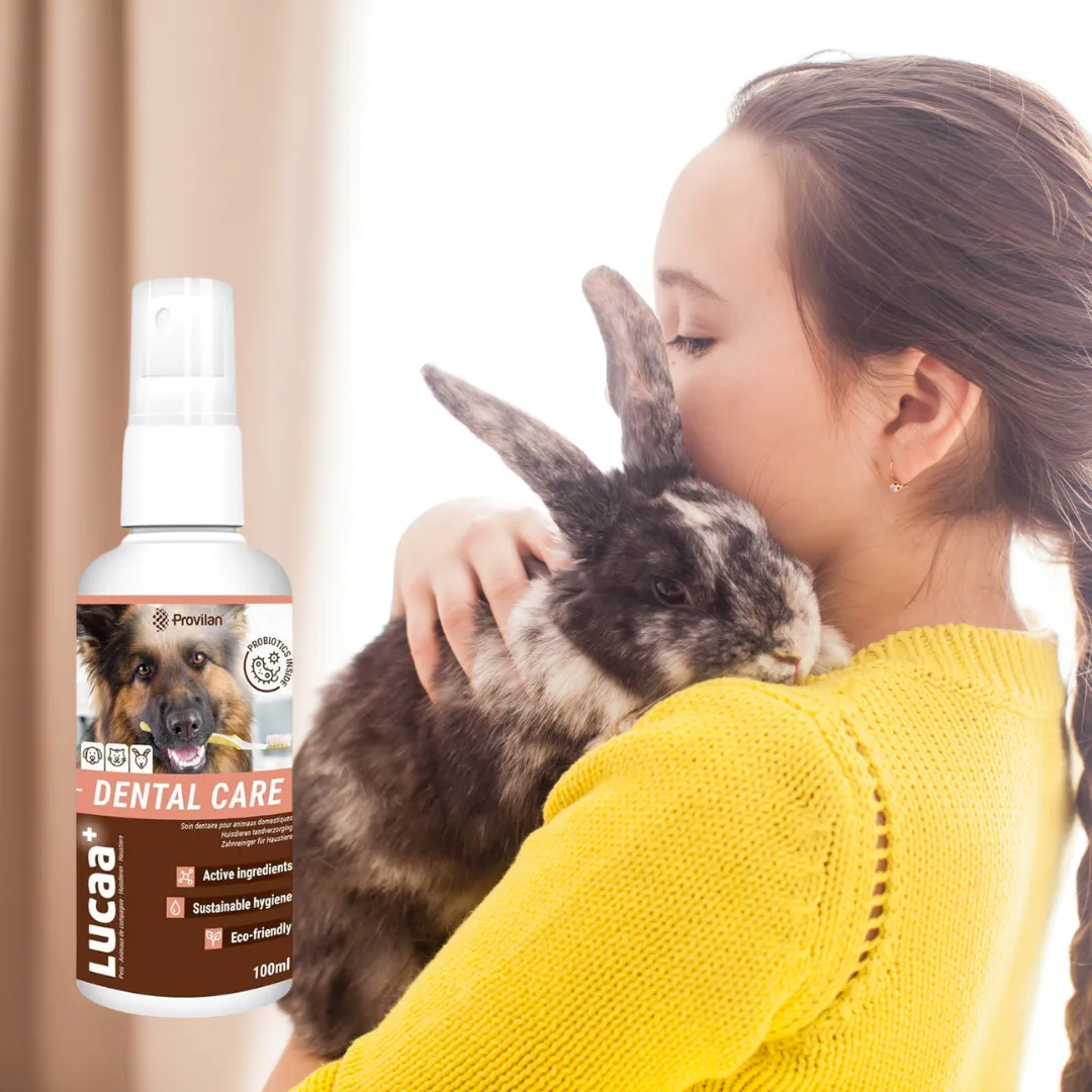 Probiotic Pet Dental Care | Provilan Lucaa 