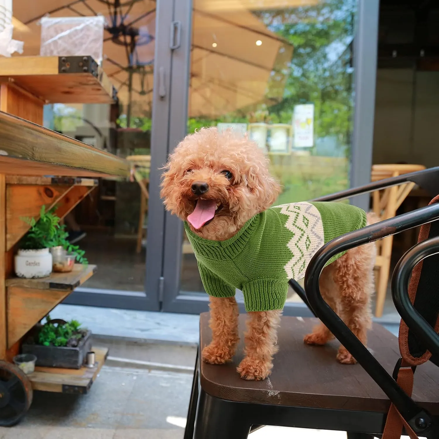 Queenmore Warm Dog Sweater, Soft Pet Knitwear, Knitted Pullover, Winter Pet Clothes for Small Medium Dogs Cats