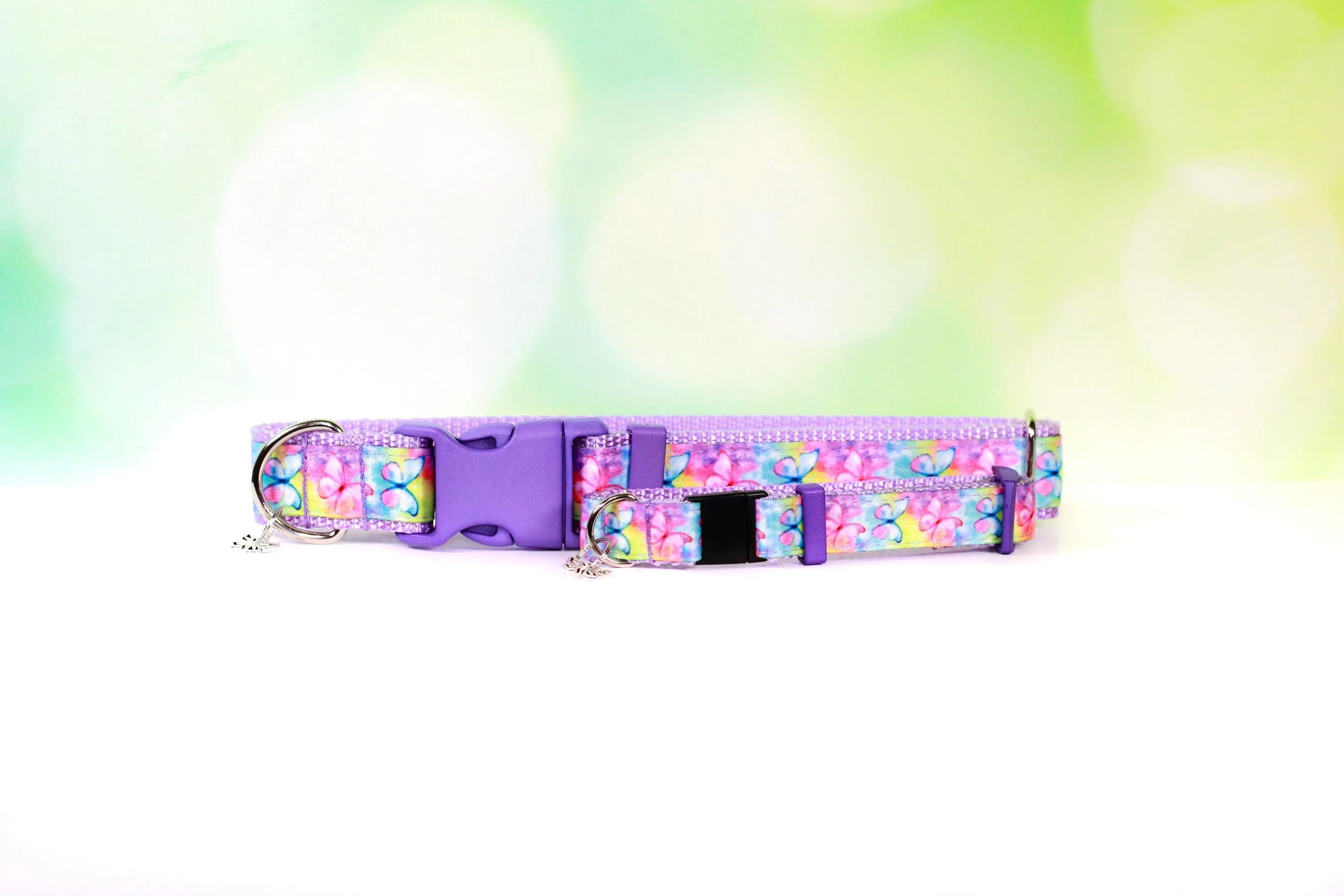 Rainbow Butterfly Dog collar , Purple dog collar, Purple cat collar, Rainbow dog collar, Cute dog collar, Girl dog collar, Adjustable Collar
