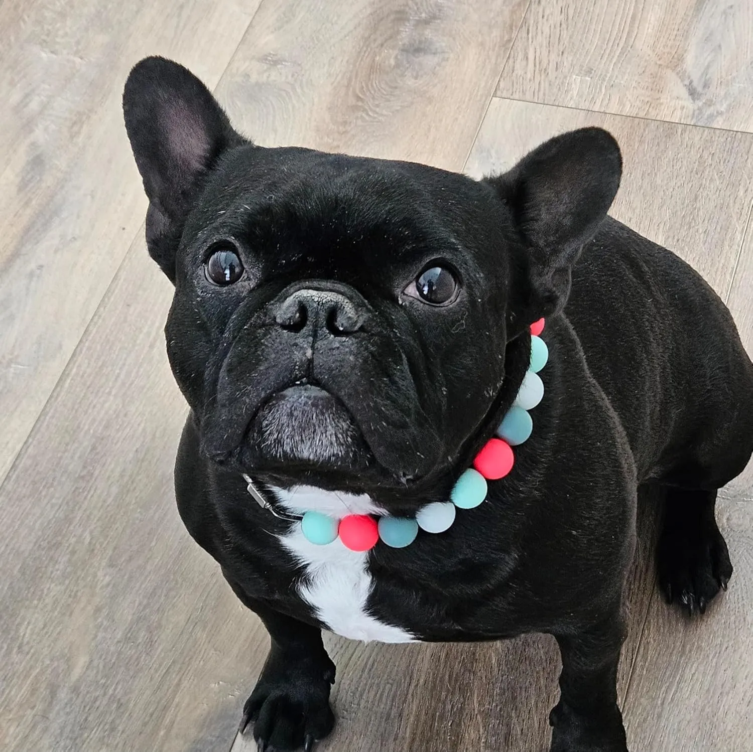 Silicone Bead Collar - Glow in The Dark Beads - Waterproof - 100% Non-Toxic - All Breeds - Comet (18)