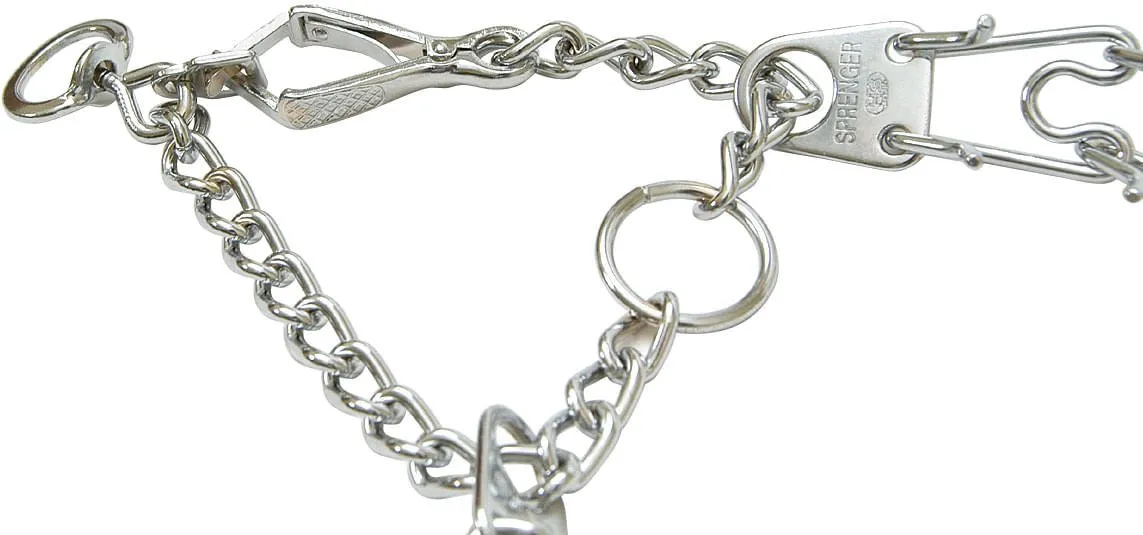Snap-On Prong Training Collars