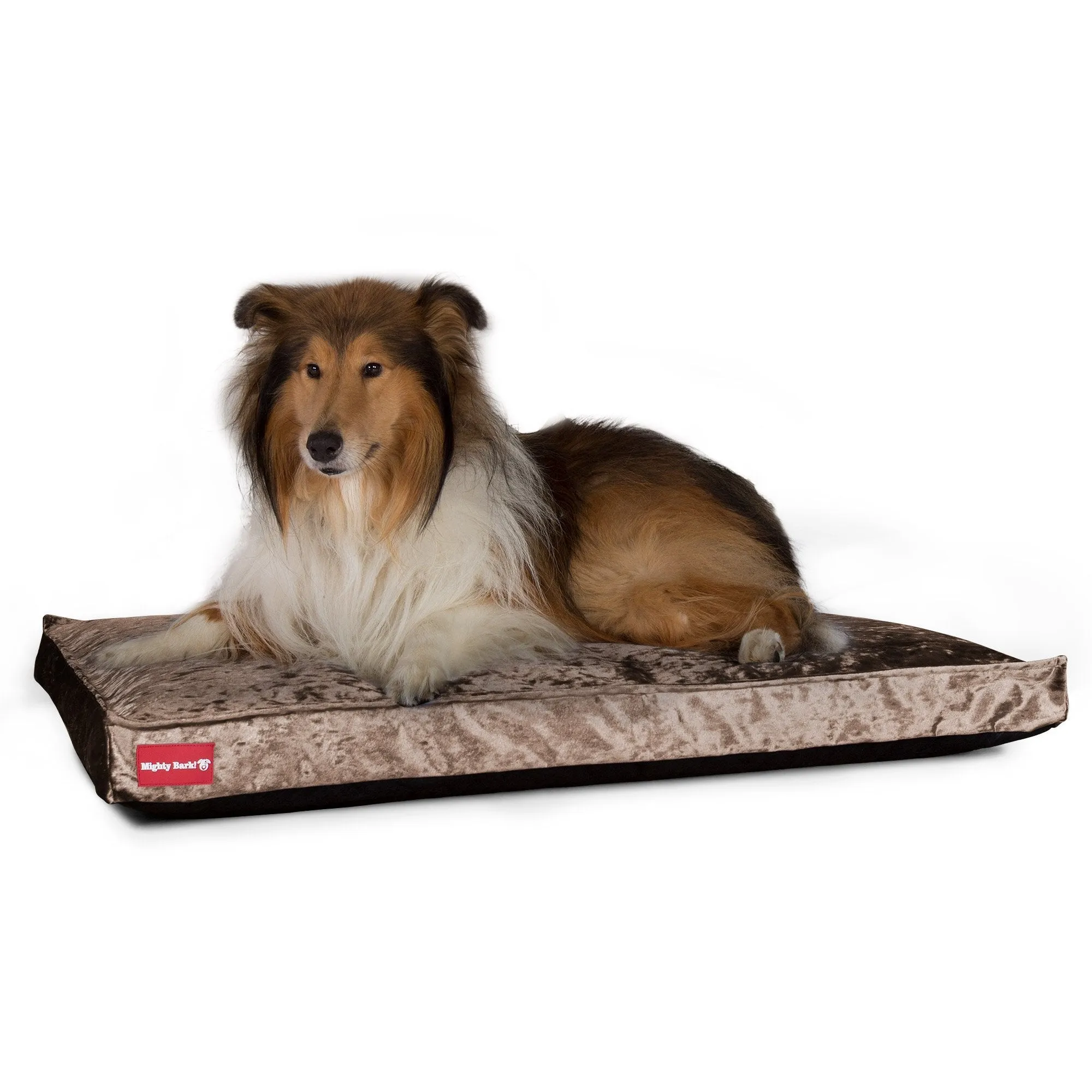 The Mattress - Orthopedic Classic Memory Foam Dog Bed - Glitz Truffle