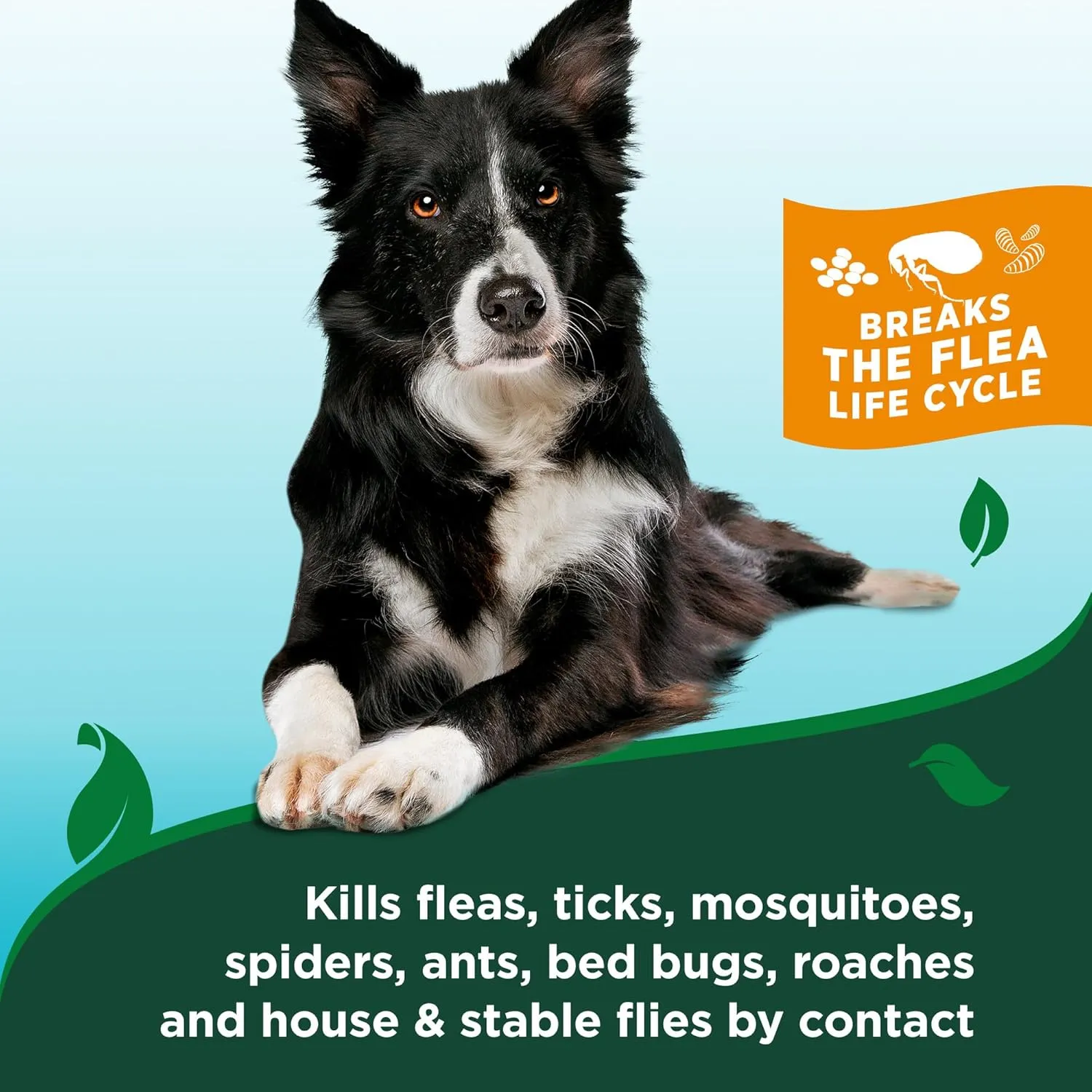 Vet's Best Flea & Tick Dog Easy Spray, Cotton Spice Scent, Natural Flea & Tick Prevention, Kills Fleas & Ticks for Dogs, 14 oz